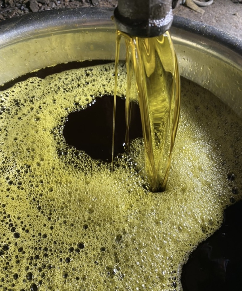菜籽厂家批发油菜籽净菜籽出油高黑油菜籽