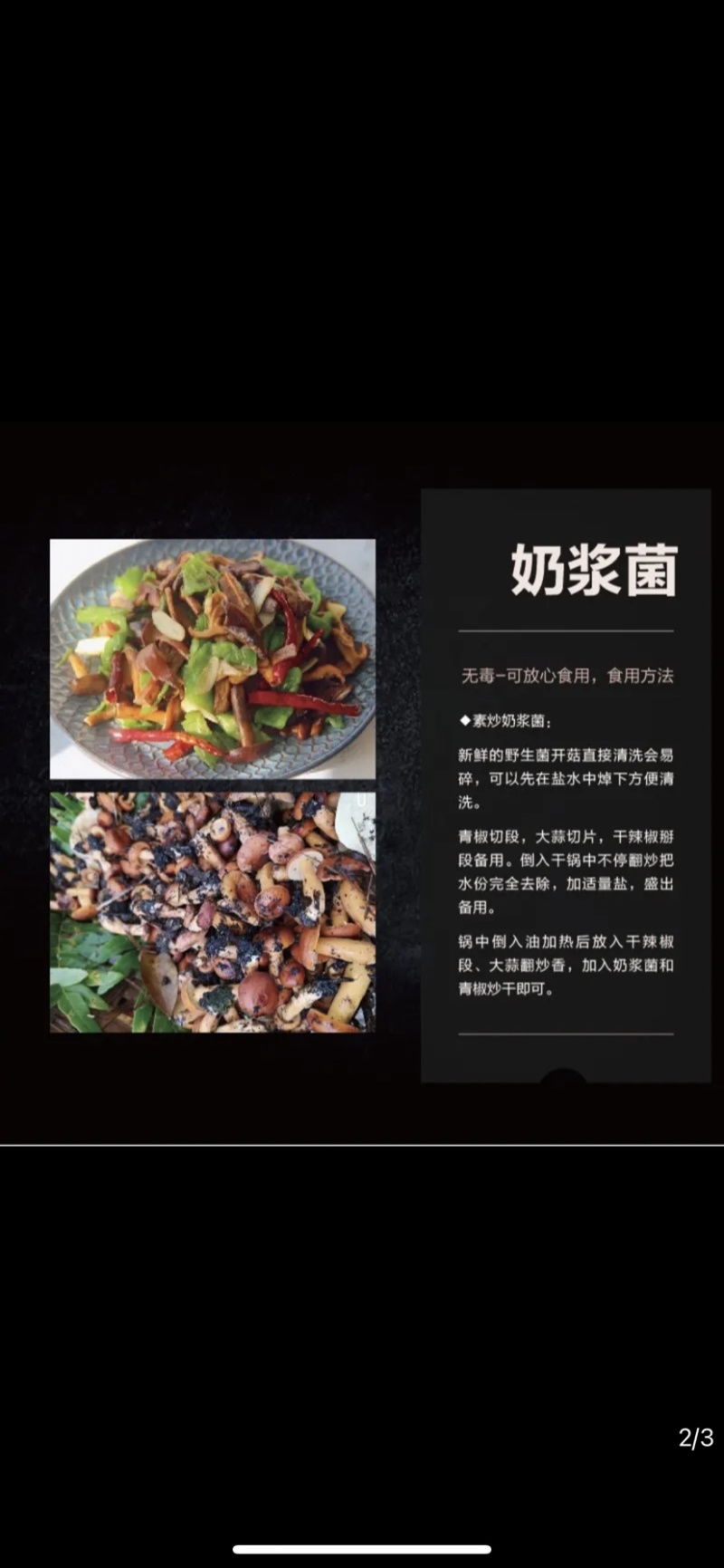 奶浆菌