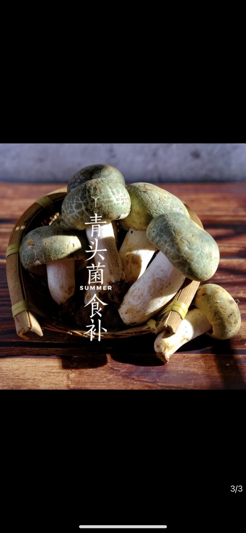 青头菌