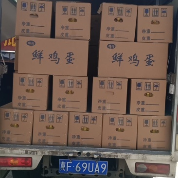 正宗家养土鸡蛋批发零售自家鸡场的鲜鸡蛋
