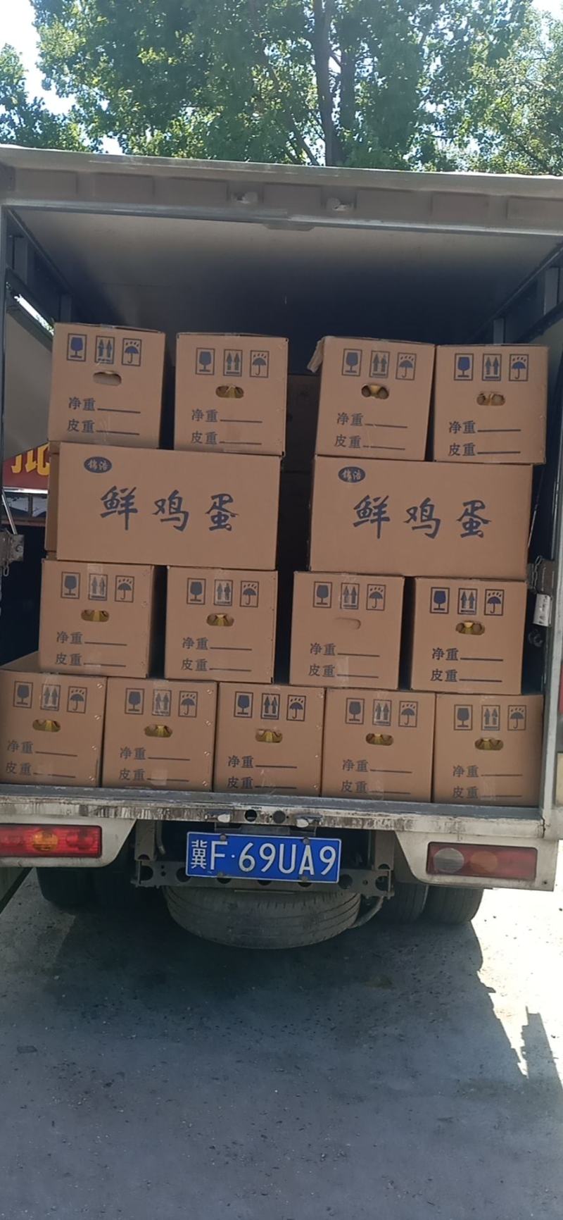 正宗家养土鸡蛋批发零售自家鸡场的鲜鸡蛋