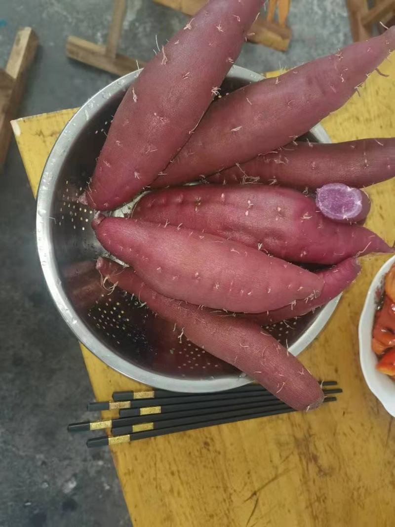 基地直供，大量精品紫罗兰商品薯上市欢迎超市，市场平台订购