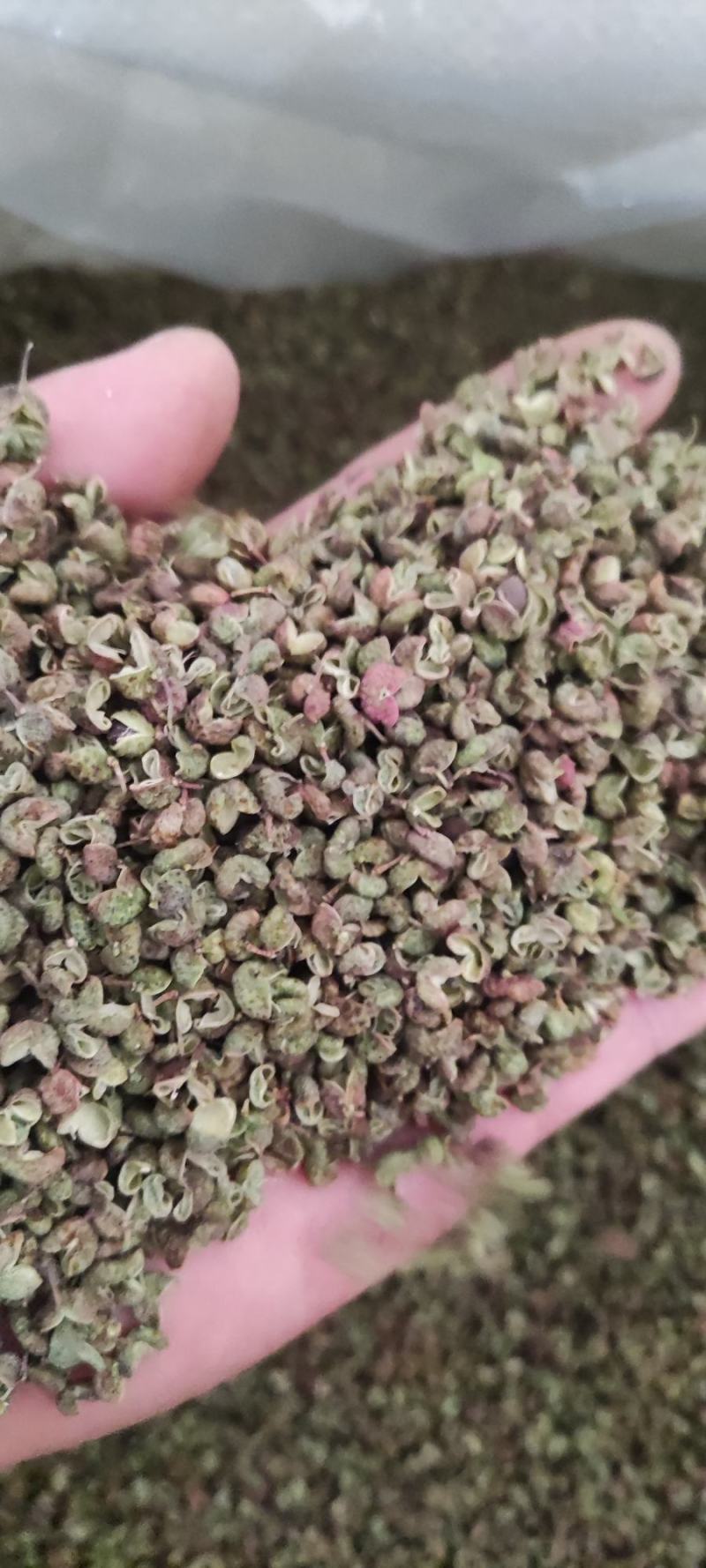 花椒新货臭椒青皮；又名狮子头，开口好.麻味清香打粉专用