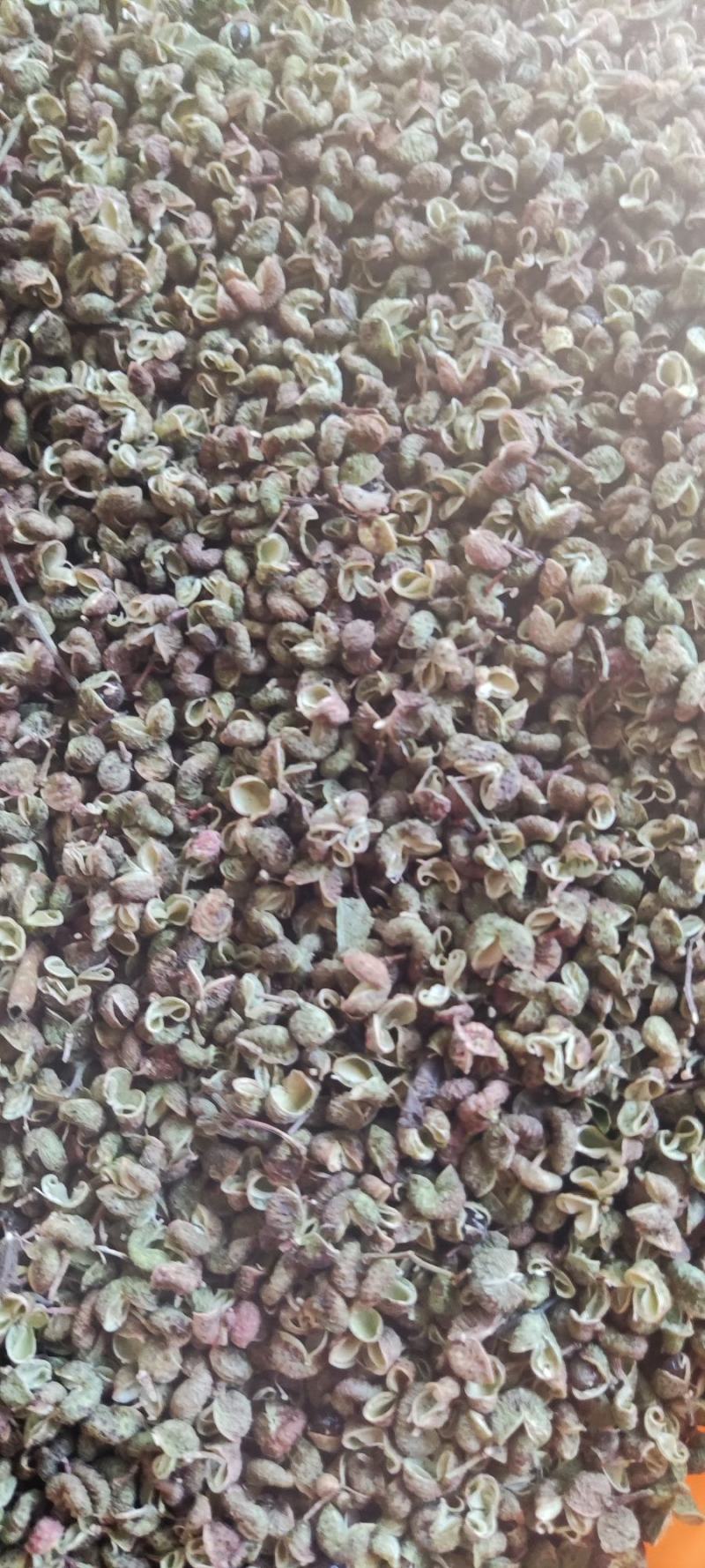 花椒新货臭椒青皮；又名狮子头，开口好.麻味清香打粉专用