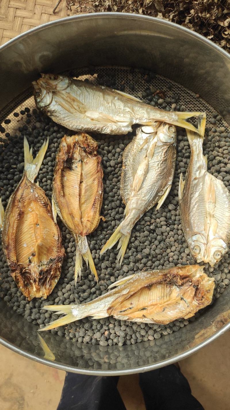 黄尾鱼干