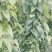 赣南紫山药新鲜现挖紫大薯脚板薯农家蔬菜正宗铁棍怀山紫玉淮