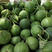 绿宝甜瓜，精品绿宝甜瓜，商超市场，产地一手货源
