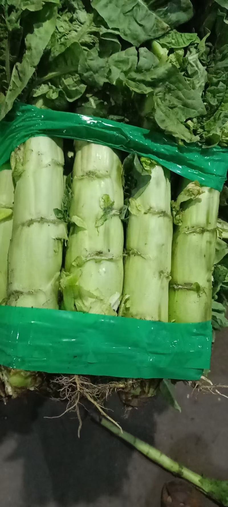 光杆莴笋