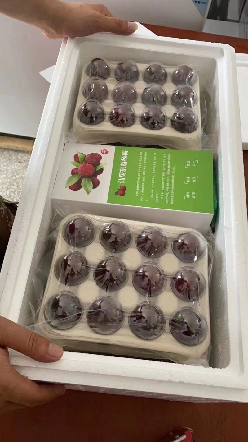 东魁杨梅