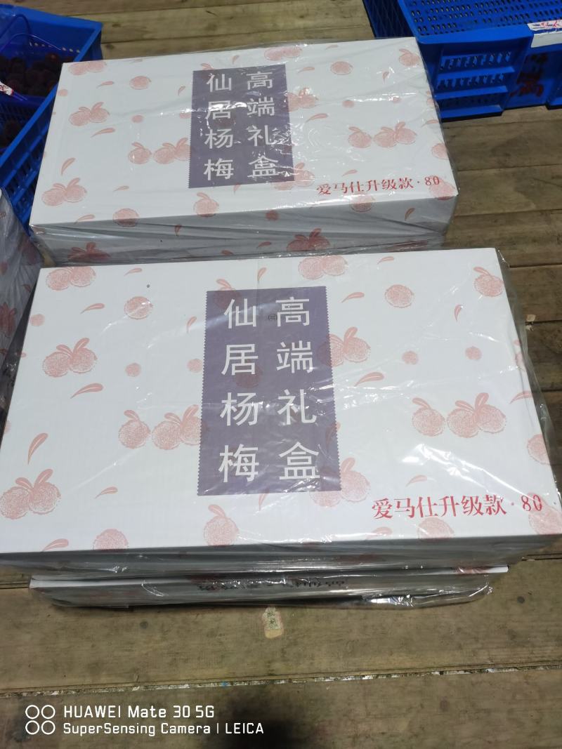 东魁杨梅