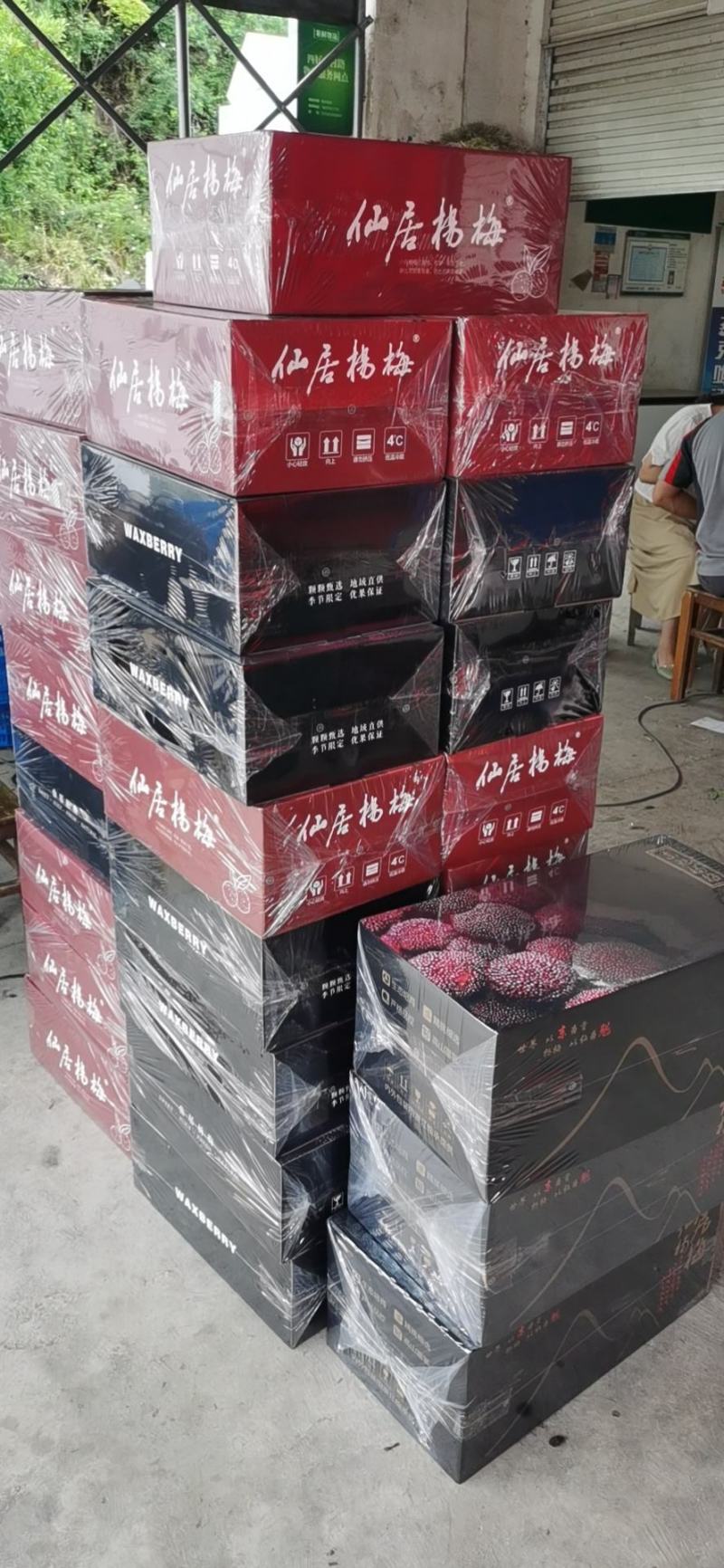 东魁杨梅