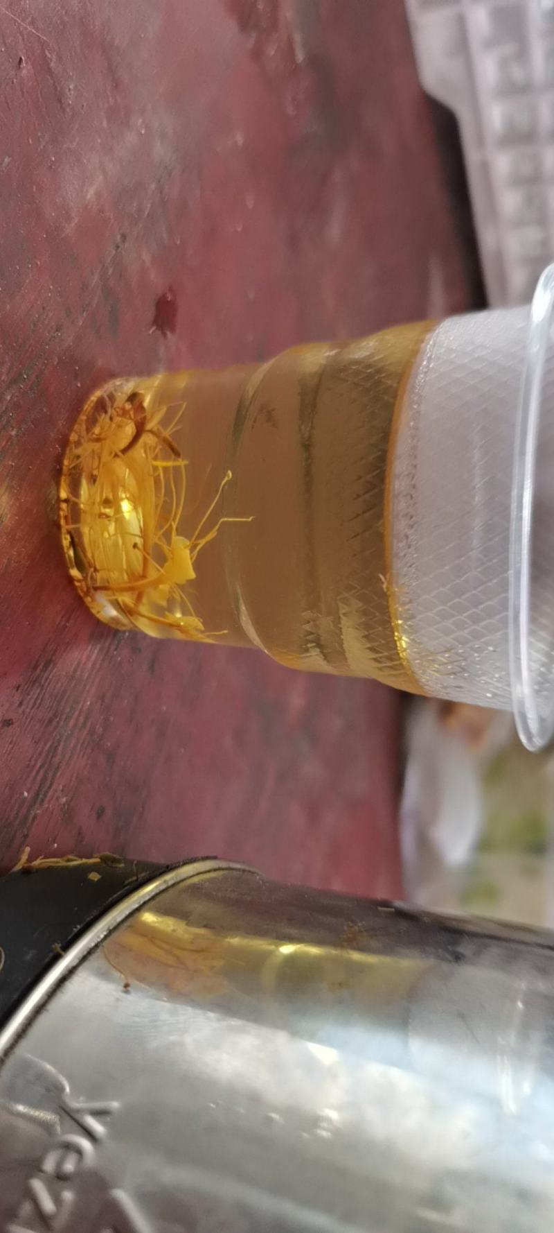 金银花，防城港市上思十万山金银花，常年有货