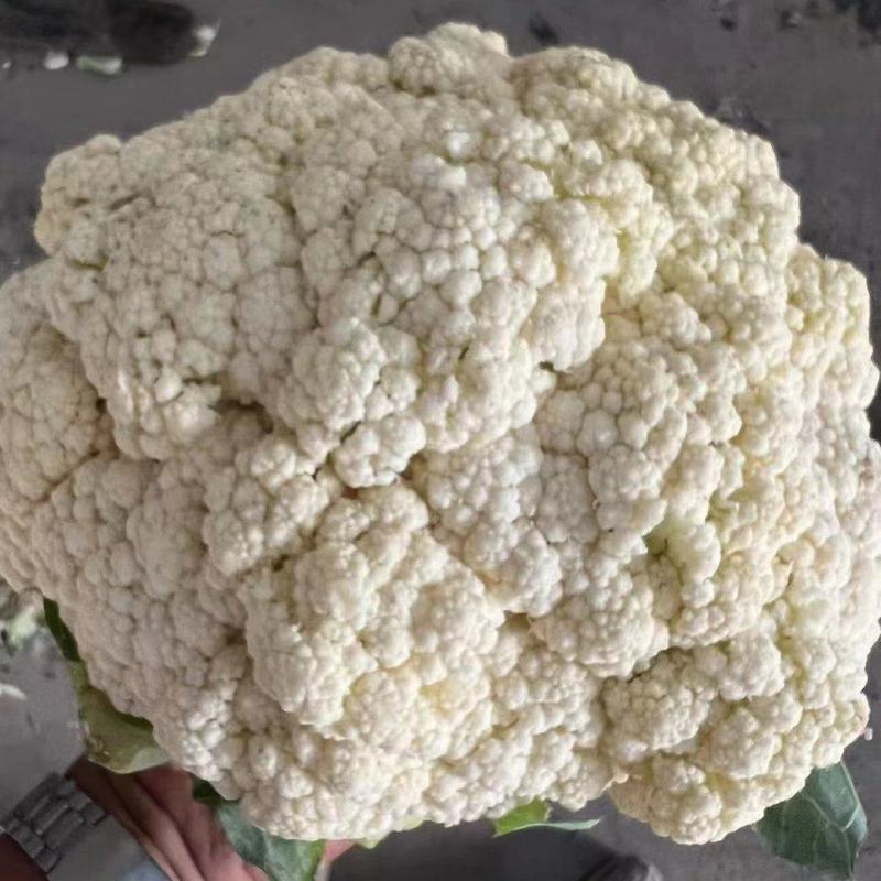 有机花菜