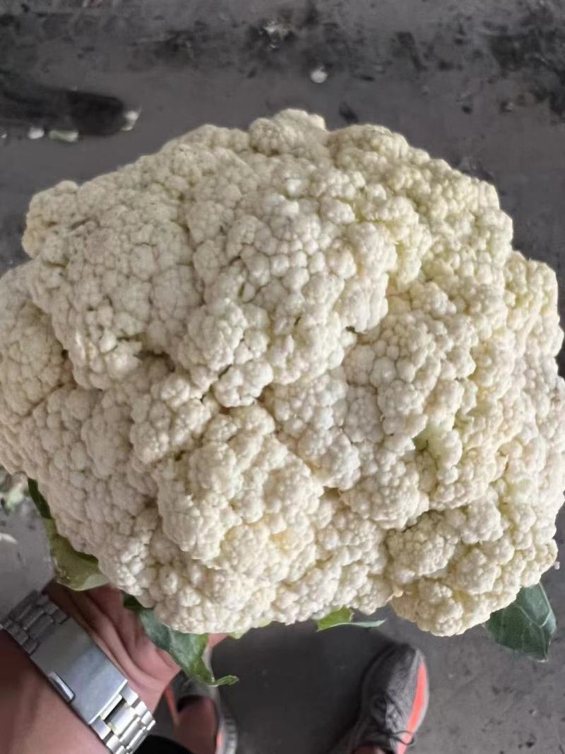 有机花菜