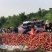 中油4号油桃嘎嘎甜质量保障一手货源产地直发,海量货源