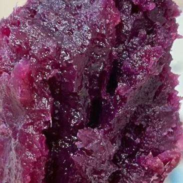 泰紫薯一号，正品，假一赔十，北方新货口感香甜软糯可以烤