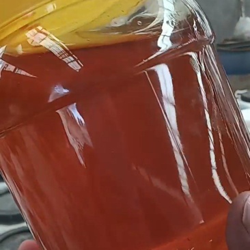 枣花蜜,荆花蜜产地批发全国发货甜度高价格低欢迎咨询