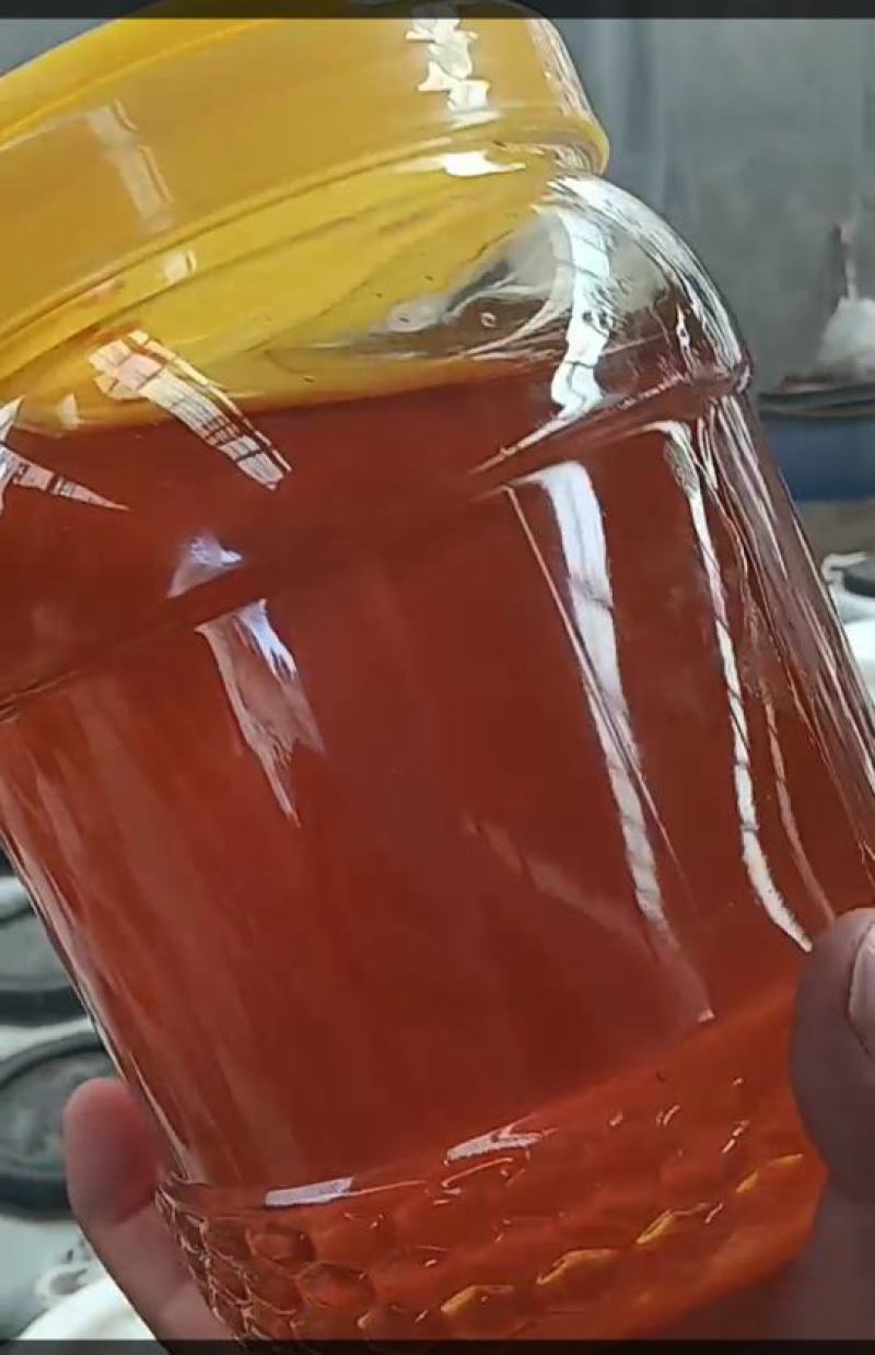 枣花蜜，荆花蜜产地批发全国发货甜度高价格低欢迎咨询