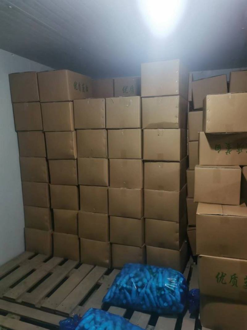 水果茭白500多箱联系17206066120郑