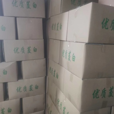 水果茭白500多箱联系17206066120郑