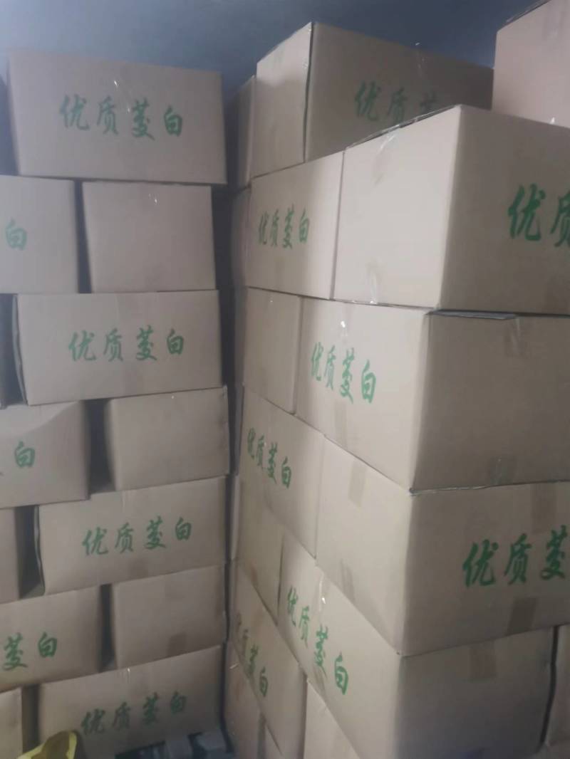 水果茭白500多箱联系17206066120郑
