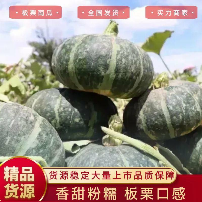 内蒙古四子王旗板栗南瓜贝贝南瓜老度适中货源足档口电商