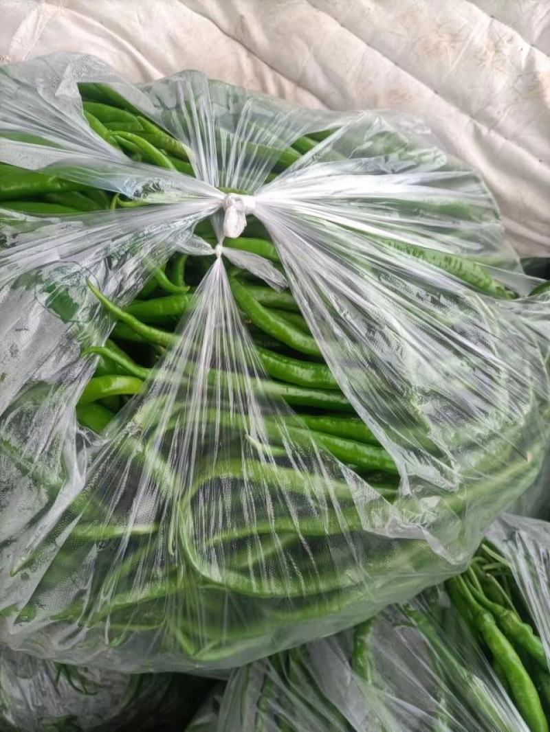 【热卖】线椒新鲜货源大量有货河南产地直发辣味十足