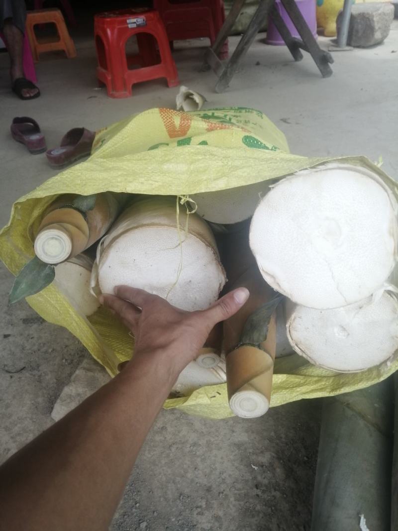 需要电话联系！广西钦州甜笋，酸笋丝酸笋片