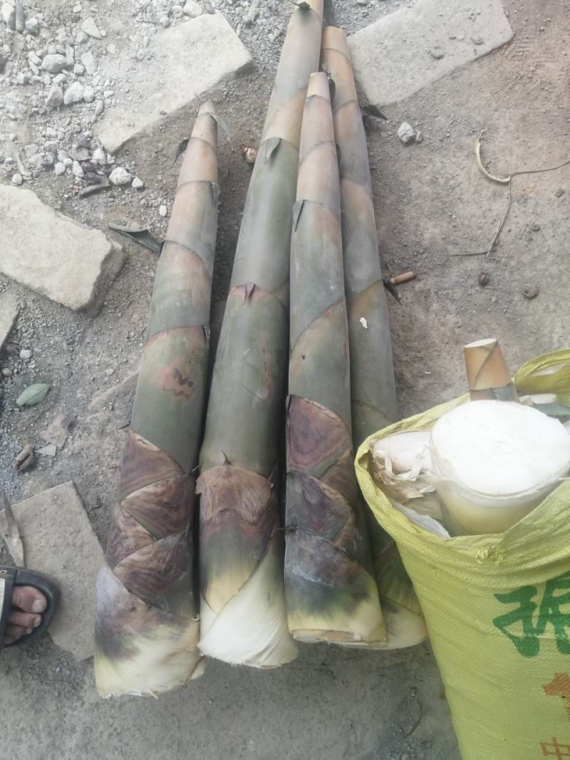 需要电话联系！广西钦州甜笋，酸笋丝酸笋片