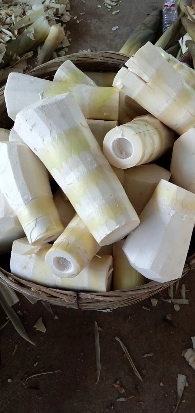 需要电话联系！广西钦州甜笋，酸笋丝酸笋片