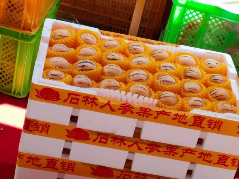 石林人参果