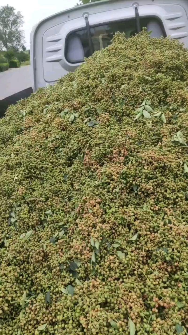 花椒新货臭椒青皮；又名狮子头，开口好.麻味清香打粉专用