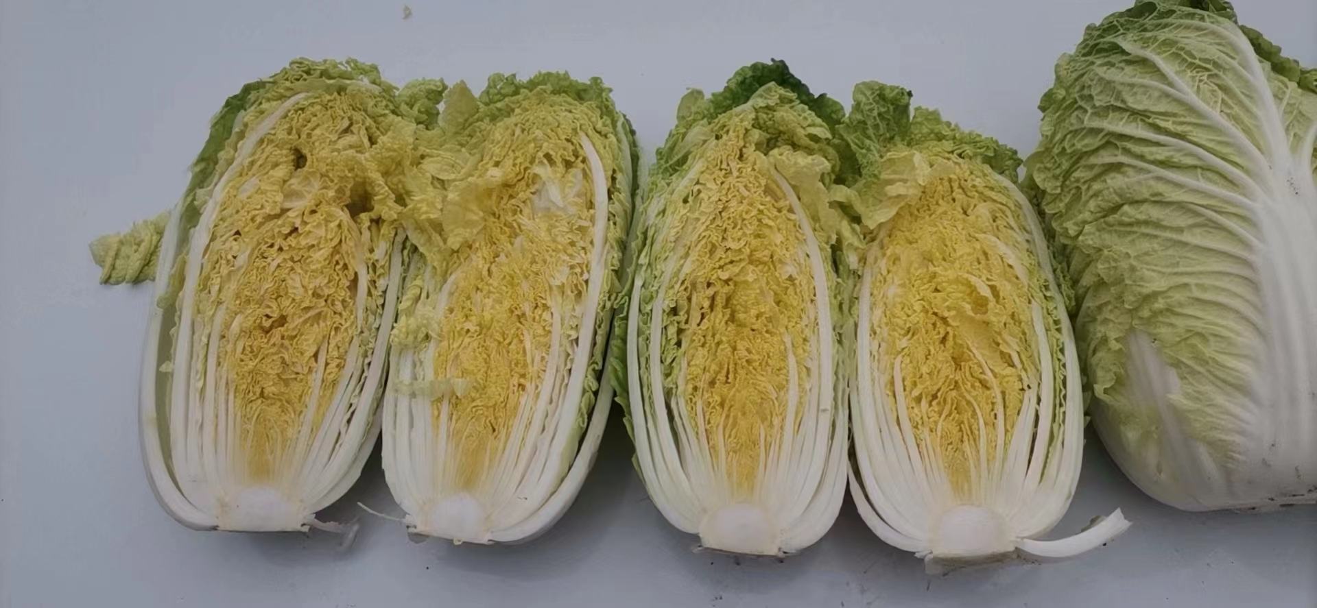 娃娃菜切开展示内部结构