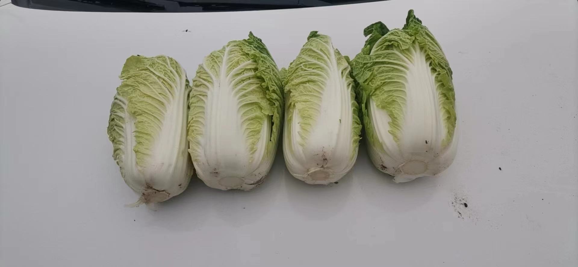 简易版上汤娃娃菜成品图