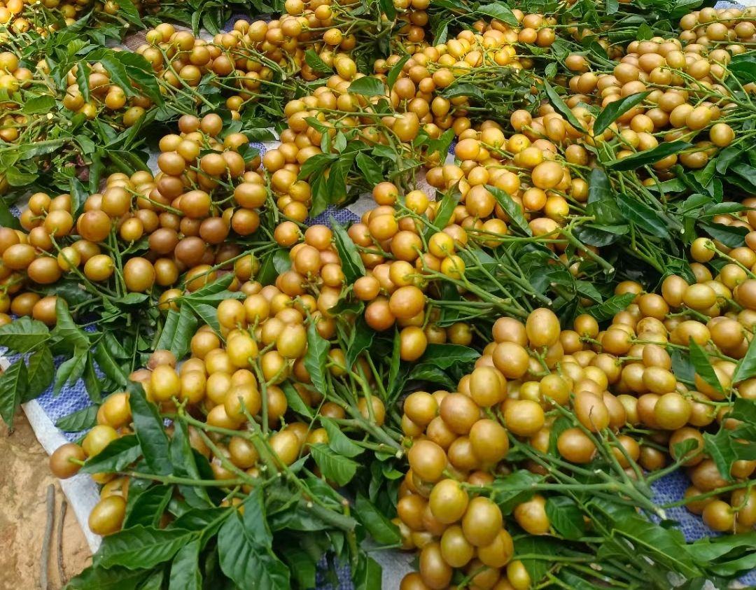 成品肉馅小甜饼摆盘展示