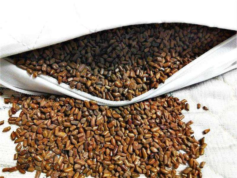 决明子茶炒熟决明子熟制可做枕芯儿童沙池