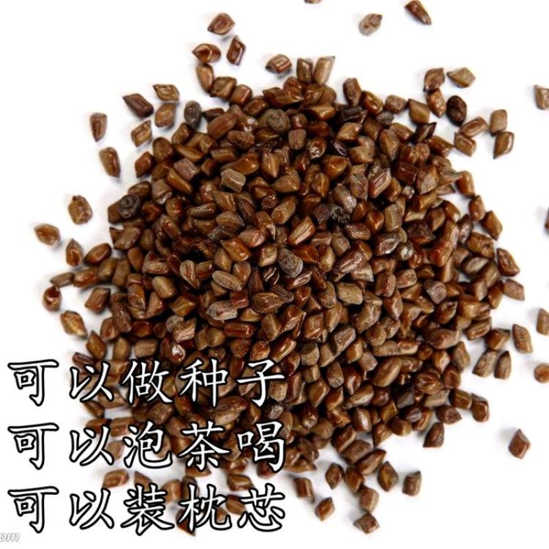 决明子茶炒熟决明子熟制可做枕芯儿童沙池