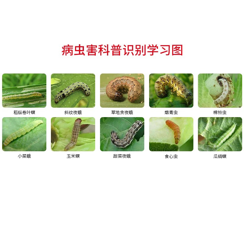 双星农药·迅领·虱螨脲虫卵双杀杀虫剂批发