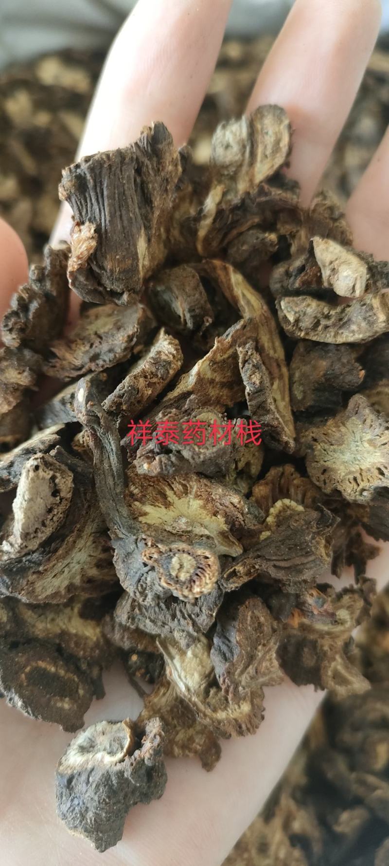 （热销）羌活川羌产地四川祥泰药材栈地道药材欢迎购买