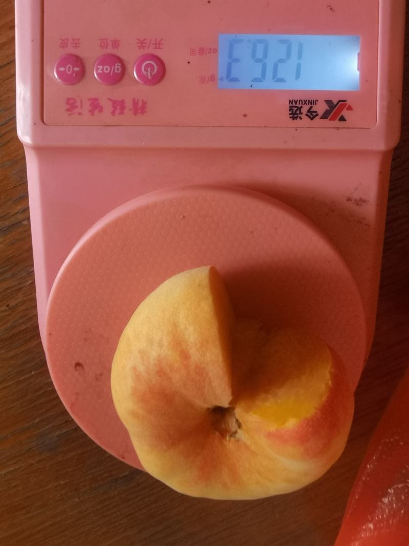 云南石屏高山露天超甜套袋黄金毛蟠桃