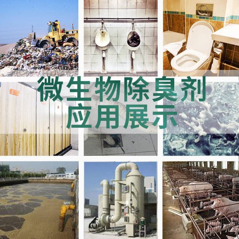 微生物除臭剂养殖场除臭公厕废水化粪池除臭剂除氨气生物除臭