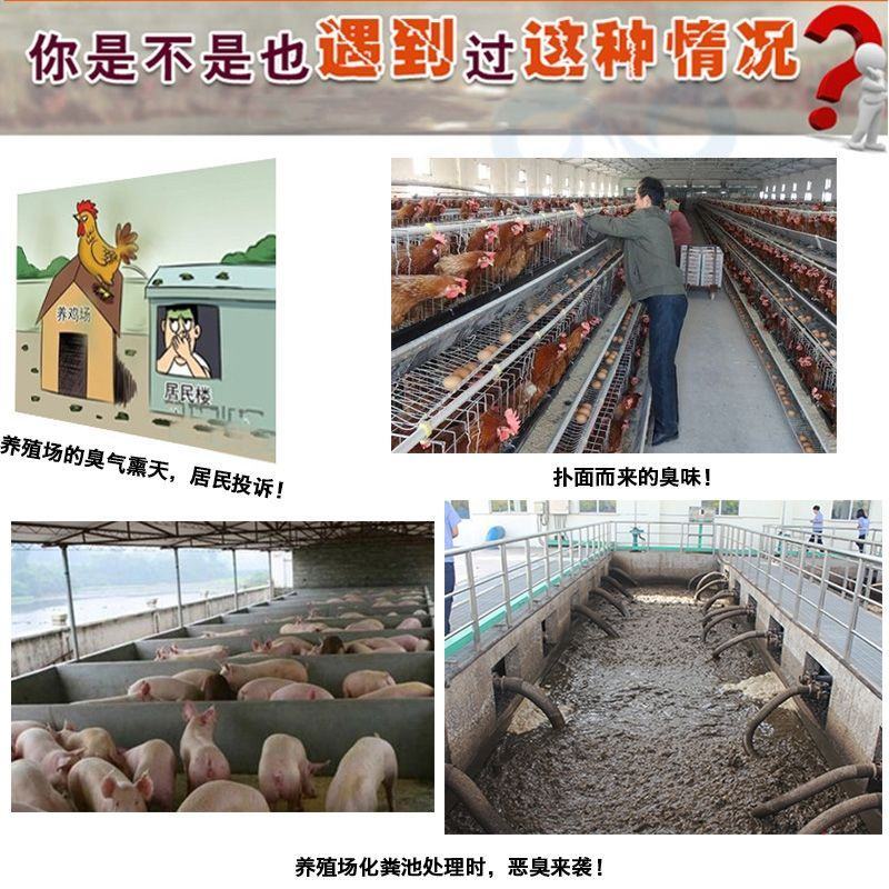 微生物除臭剂养殖场除臭公厕废水化粪池除臭剂除氨气生物除臭
