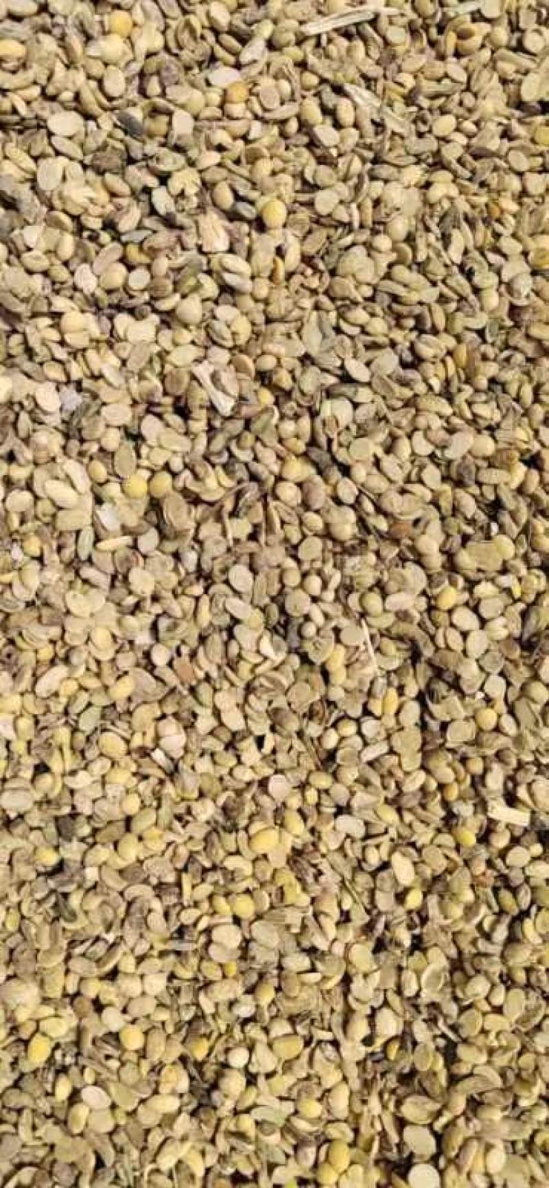 山东碎黄豆，产地直发，保质保量，欢迎老板选购