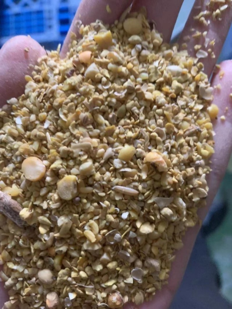 山东碎黄豆，产地直发，保质保量，欢迎老板选购