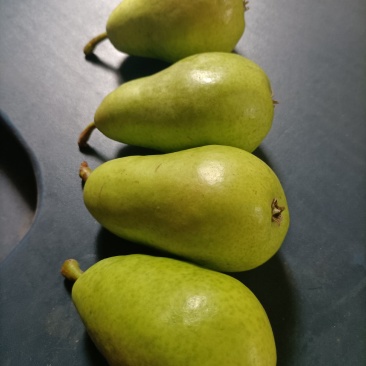 梨