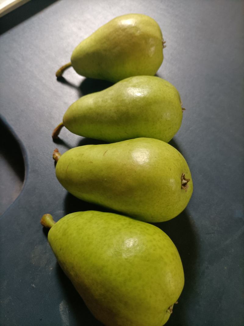 梨