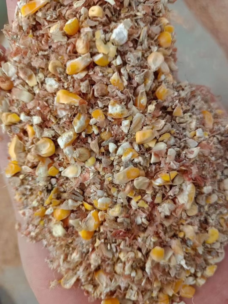 碎玉米净粮适合鸡鸭鹅养殖用户使用几个粮的都有