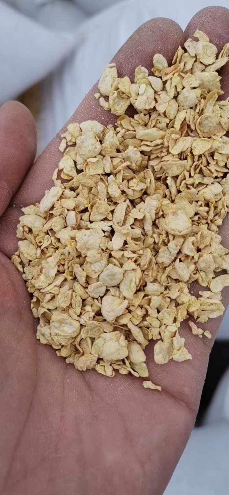 碎玉米净粮适合鸡鸭鹅养殖用户使用几个粮的都有