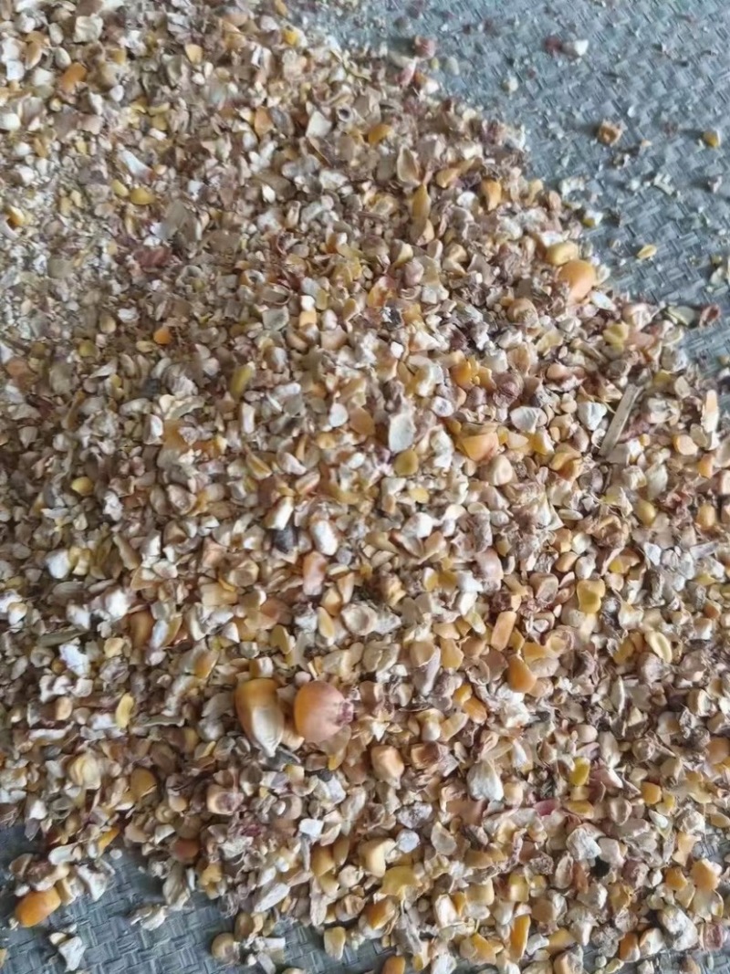 碎玉米净粮适合鸡鸭鹅养殖用户使用几个粮的都有