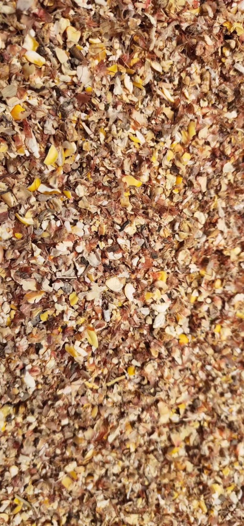 碎玉米净粮适合鸡鸭鹅养殖用户使用几个粮的都有